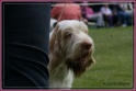 01-06-12 M GoodAsGold_IMG_IMG_6326